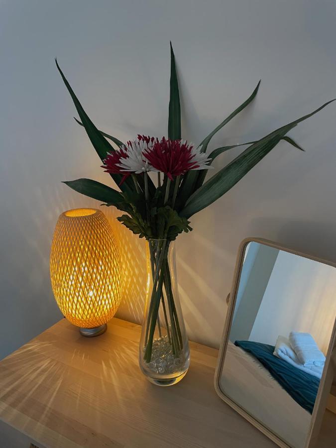 Number 15 Luxurious Two Bedroom Apartment Exmouth Extérieur photo